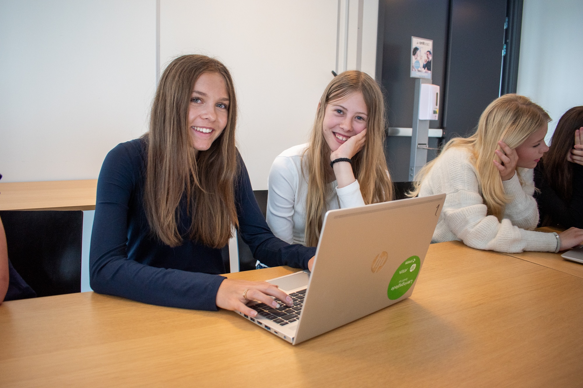 AI for 8. trinn 2025 (15)